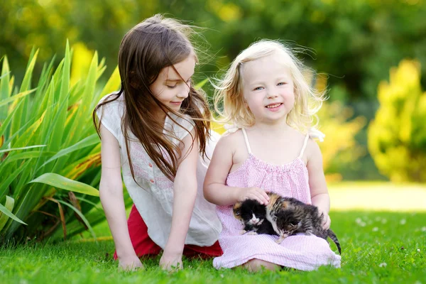 Lilla systrar spela med kattungar — Stockfoto