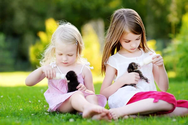 Dziewczynki karmienia małych kociąt — Zdjęcie stockowe