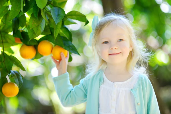 Little girl picking fresh ripe oranges — Stock Photo, Image