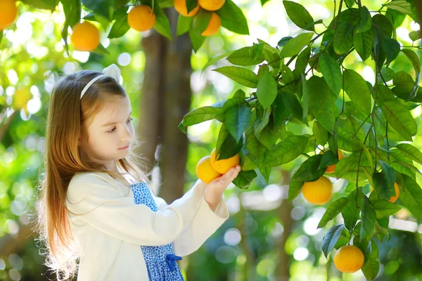 Liten flicka plocka färska mogna apelsiner — Stockfoto