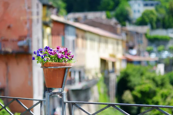 Bella vaso di fiori con fiori in fiore — Foto Stock