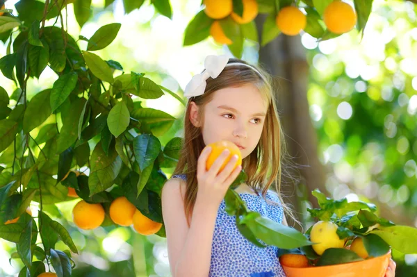 Liten flicka plocka färska mogna apelsiner — Stockfoto