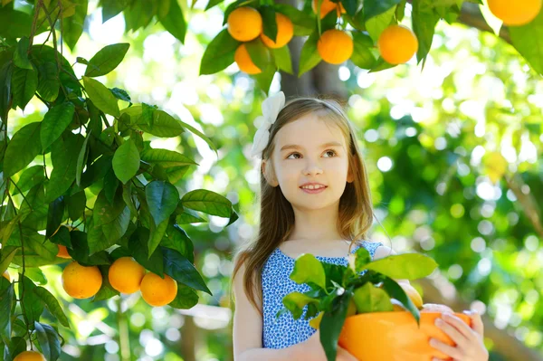 Gadis kecil memetik jeruk matang segar — Stok Foto