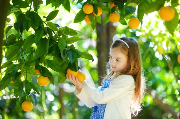 Petite fille cueillette fraîche oranges mûres — Photo