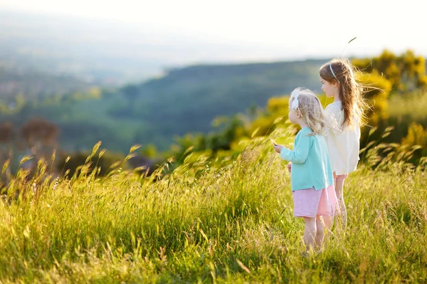 Kleine meisjes met plezier in een weiland — Stockfoto