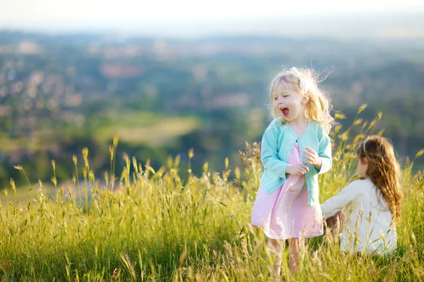 Маленькие девочки веселятся на лугу — стоковое фото