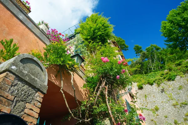 Hermosa pared decorada con varias flores —  Fotos de Stock