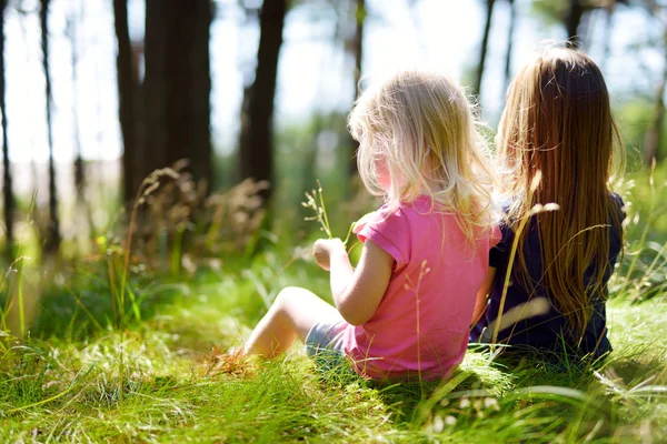 Kleine zusters wandelen in een bos — Stockfoto