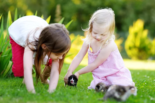 Adorable little sisters playing with  kittens — Stock Photo, Image