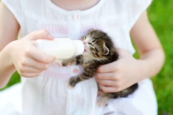 Petite fille nourrir petit chaton — Photo