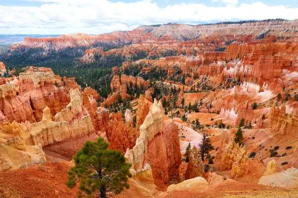 Bryce Canyon kırmızı kumtaşı hoodoos — Stok fotoğraf