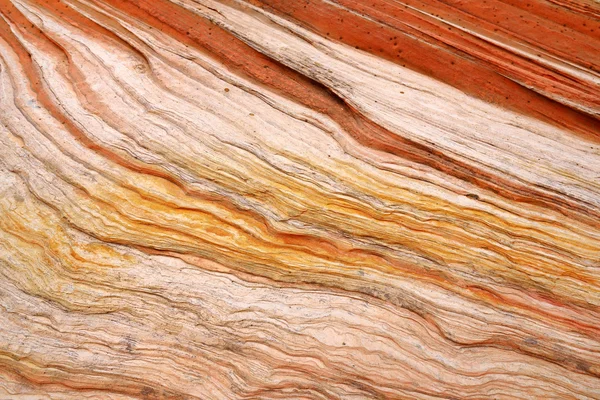 Detail of sandstone formations in White Pocket — Stock Photo, Image