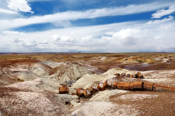 Petrified wood in the Petrified Forest — Stock Photo, Image