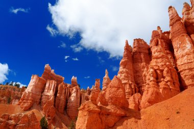 Bryce Canyon kırmızı kumtaşı hoodoos