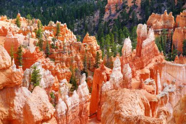 Bryce Canyon kırmızı kumtaşı hoodoos