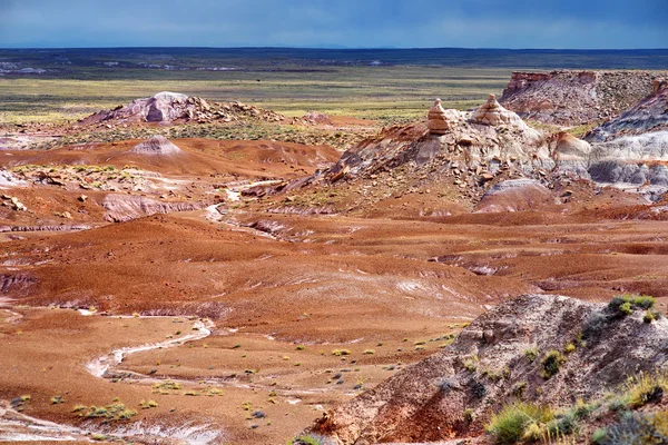 Petrified wood in the Petrified Forest — Stock Photo, Image