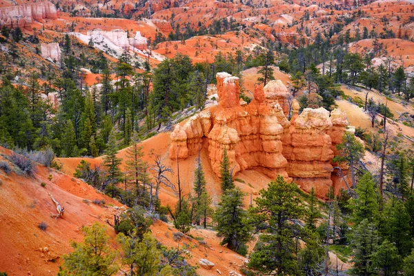 Red sandstone hoodoos in Bryce Canyon — Stock Photo, Image