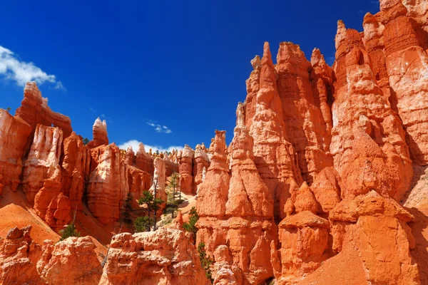 Bryce Canyon kırmızı kumtaşı hoodoos — Stok fotoğraf