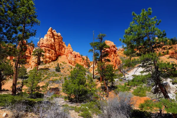 Hoodoos de arenisca roja en Bryce Canyon — Foto de Stock