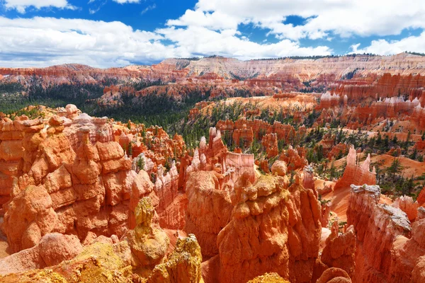 Bryce Canyon kırmızı kumtaşı hoodoos — Stok fotoğraf