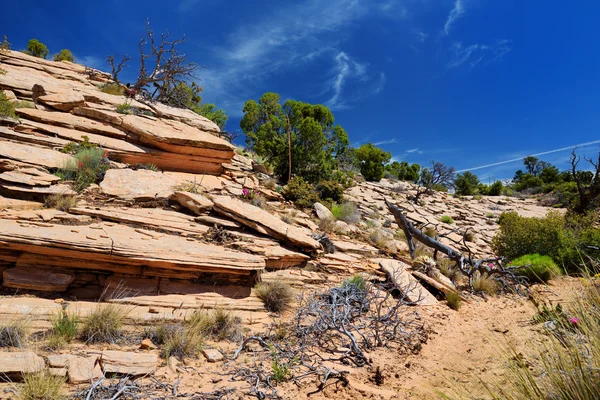 Colorful sandstone formations of Yant Flat — Stock Photo, Image