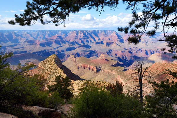 Bela paisagem do Grand Canyon — Fotografia de Stock