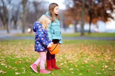 Küçük kızlar meşe palamutları toplamak