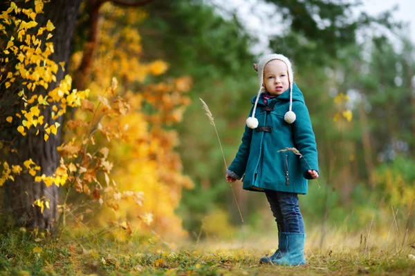 Kleines Mädchen hat Spaß im Herbsttag — Stockfoto