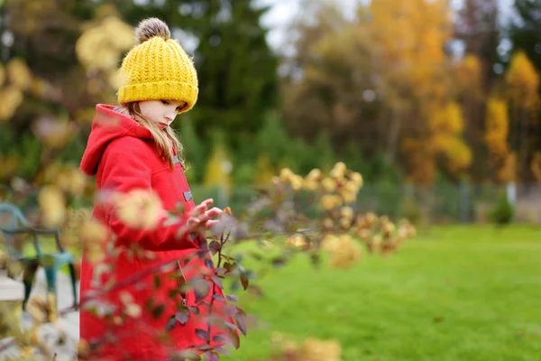 Bambina si diverte in autunno giorno — Foto Stock