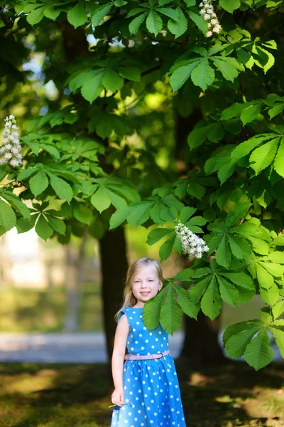 Little girl by blossoming chestnut tree — Stock Photo, Image