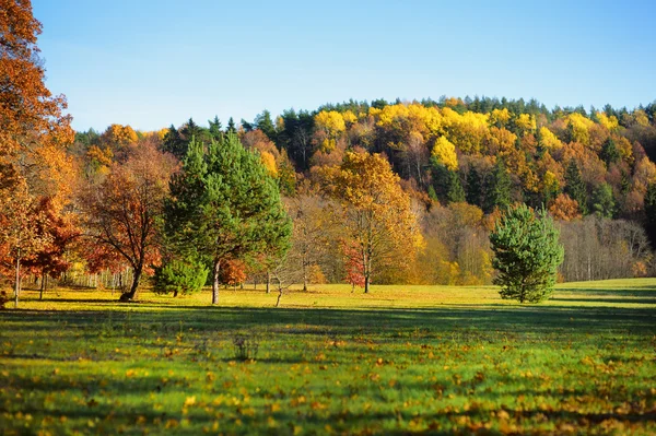 Идиллические осенние пейзажи Литвы — стоковое фото