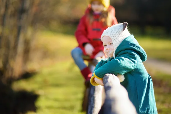 Kleine zusters plezier in het park — Stockfoto