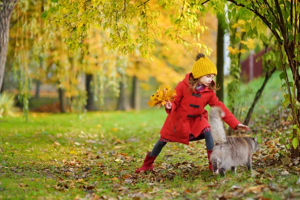 Kis lány és az ő macska, őszi nap — Stock Fotó