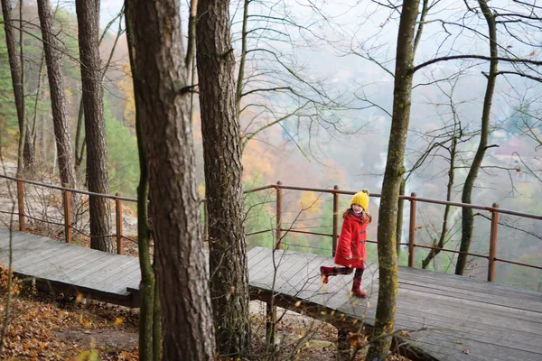 Küçük kız sonbahar park eğlenmek — Stok fotoğraf