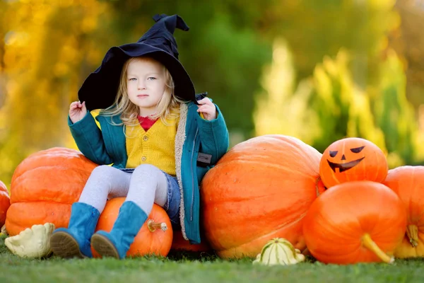 Chica en disfraz de Halloween en un parche de calabaza — Foto de Stock