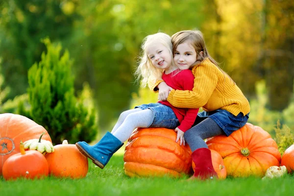 Sisters having fun on a pumpkin patch — Stock Photo, Image