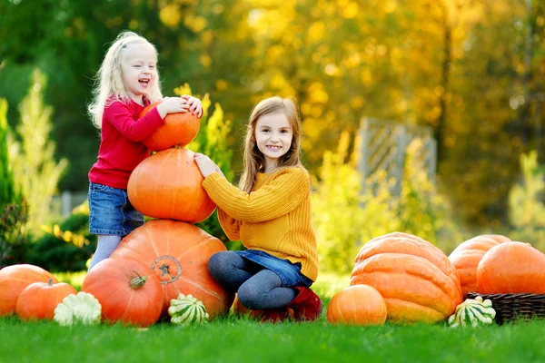 Sisters having fun on a pumpkin patch — Stock Photo, Image