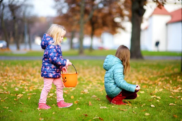 Little girls gathering acorns — Stock Photo, Image