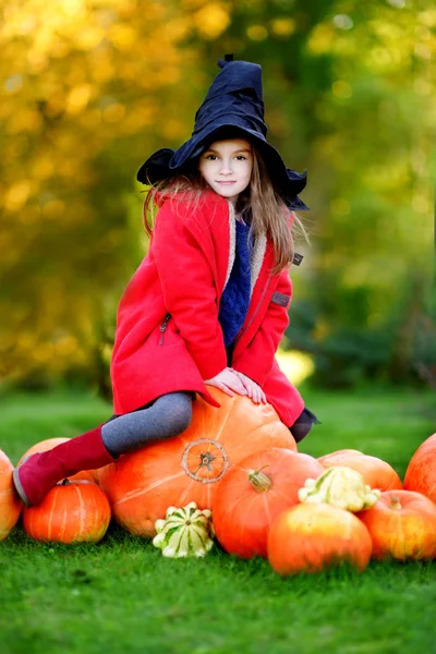 Meisje in Halloween kostuum op een pompoen patch — Stockfoto