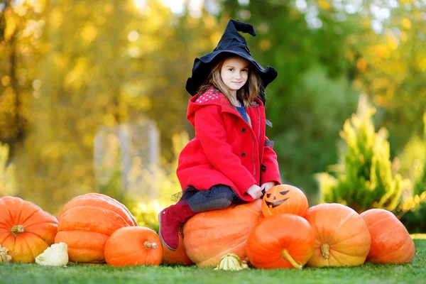 Meisje in Halloween kostuum op een pompoen patch — Stockfoto