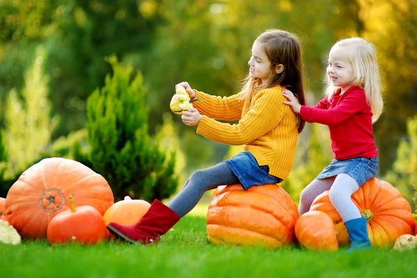 Sisters having fun on a pumpkin patch Stock Photo