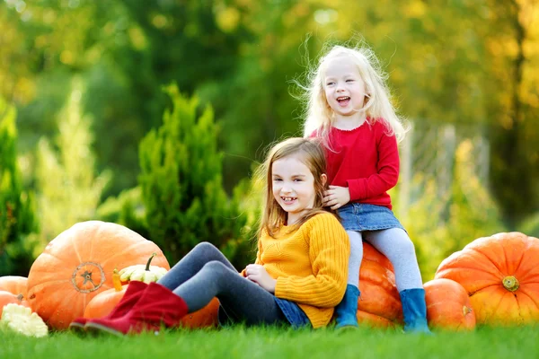 Sisters having fun on a pumpkin patch Royalty Free Stock Photos
