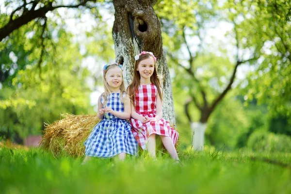 Två små systrar sitter på en höstack — Stockfoto