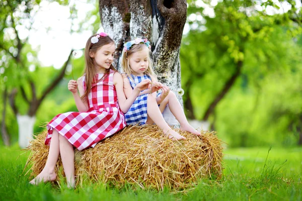 Two little sisters sitting on a haystack — Stock Photo, Image