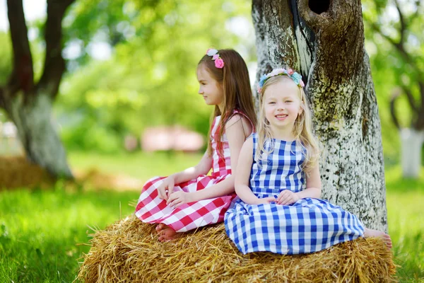坐在干草堆上的两个小姐妹 — 图库照片