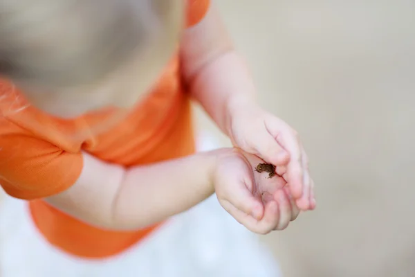 Küçük bebek kurbağa tutan çocuk — Stok fotoğraf