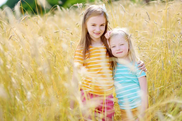 Hermanitas en campo de trigo — Foto de Stock