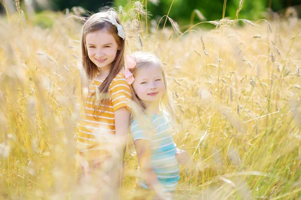 Little sisters in wheat field — Stock Photo, Image