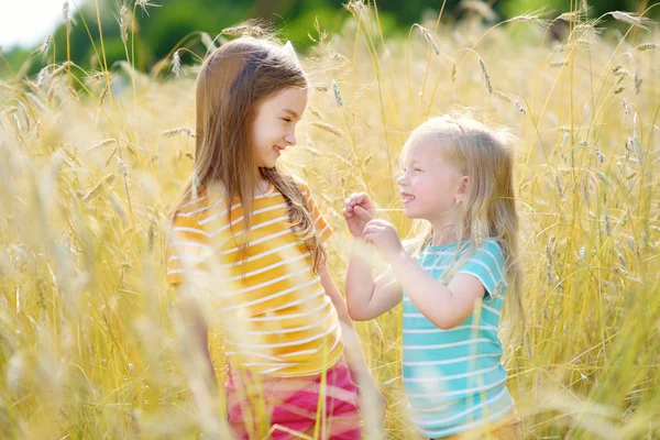 Little sisters in wheat field — Stock Photo, Image