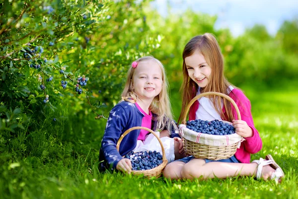 Sisters picking fresh berries — Stock Photo, Image